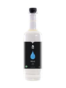 Health Today Syrup Mint 750 ml